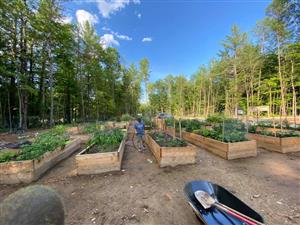 raised garden beds