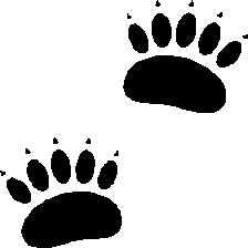 paws